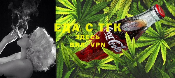 гидра Майский