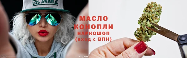 гидра Майский