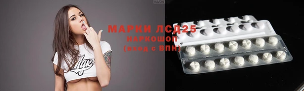 спиды Володарск
