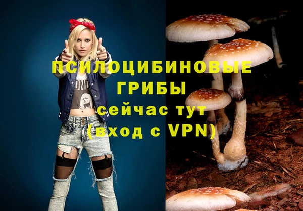 СК Магас