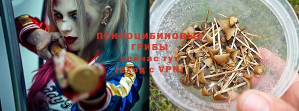СК Магас