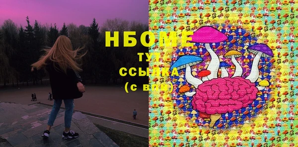 гидра Майский