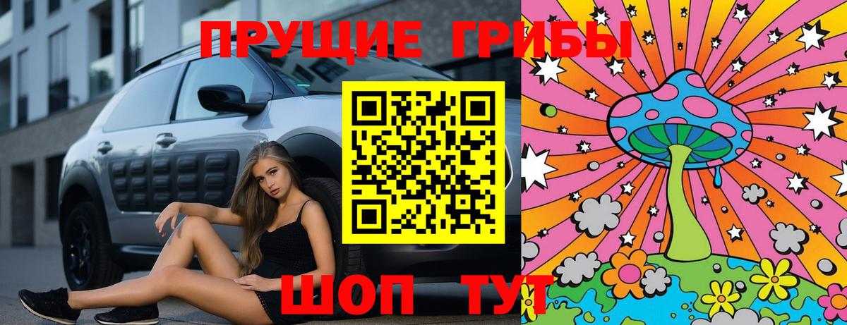 Галлюциногенные грибы MAGIC MUSHROOMS  сколько стоит  Тейково 
